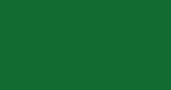 Solid green screen background