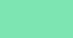 Solid mint-green background