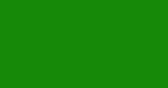 Solid green rectangle filling the frame