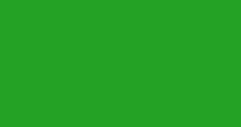 Solid green rectangle background