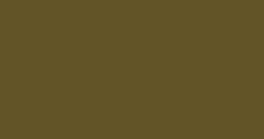 Solid olive-brown background with no visible objects or text