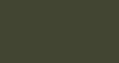 Solid olive-green background