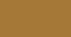 Solid brown rectangle with a thin black border at the bottom.