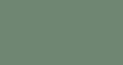 Solid muted green rectangle filling the frame