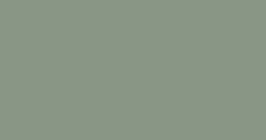 Solid muted green-gray background with no visible objects or text