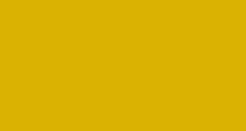 Solid mustard-yellow rectangle filling most of the image, with a thin black strip along the bottom.