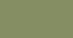 Solid olive-green rectangle filling the frame