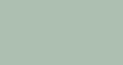 Solid pale green background with no visible objects or text