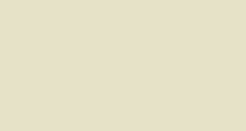 Plain beige rectangle filling the frame, with a thin dark border along the bottom and right edges.