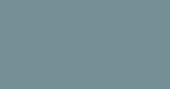 Solid muted blue-gray background