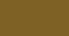 Solid brown screen with no visible objects or details