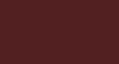 Solid dark maroon rectangle with a thin black border.