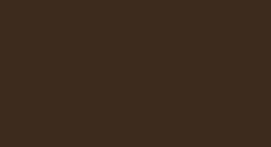 Solid dark brown screen with no visible objects or text