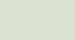 Light green blank rectangle with no visible content