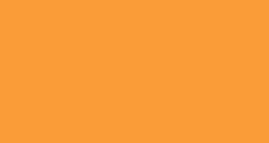 Solid orange rectangle filling the frame with a thin black border at the bottom edge