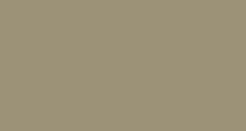 Solid beige background with a thin black border at the top and left edges.