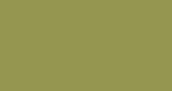 Solid olive-green rectangle with a thin black border