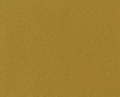 Close-up of a textured golden-brown surface