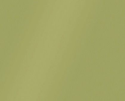 Plain pale yellow-green background with subtle texture