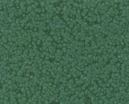 Abstract green cellular texture with mottled, pebbled pattern