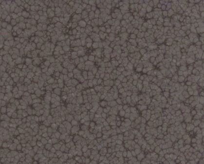 Close-up of a gray, textured pebble-like surface