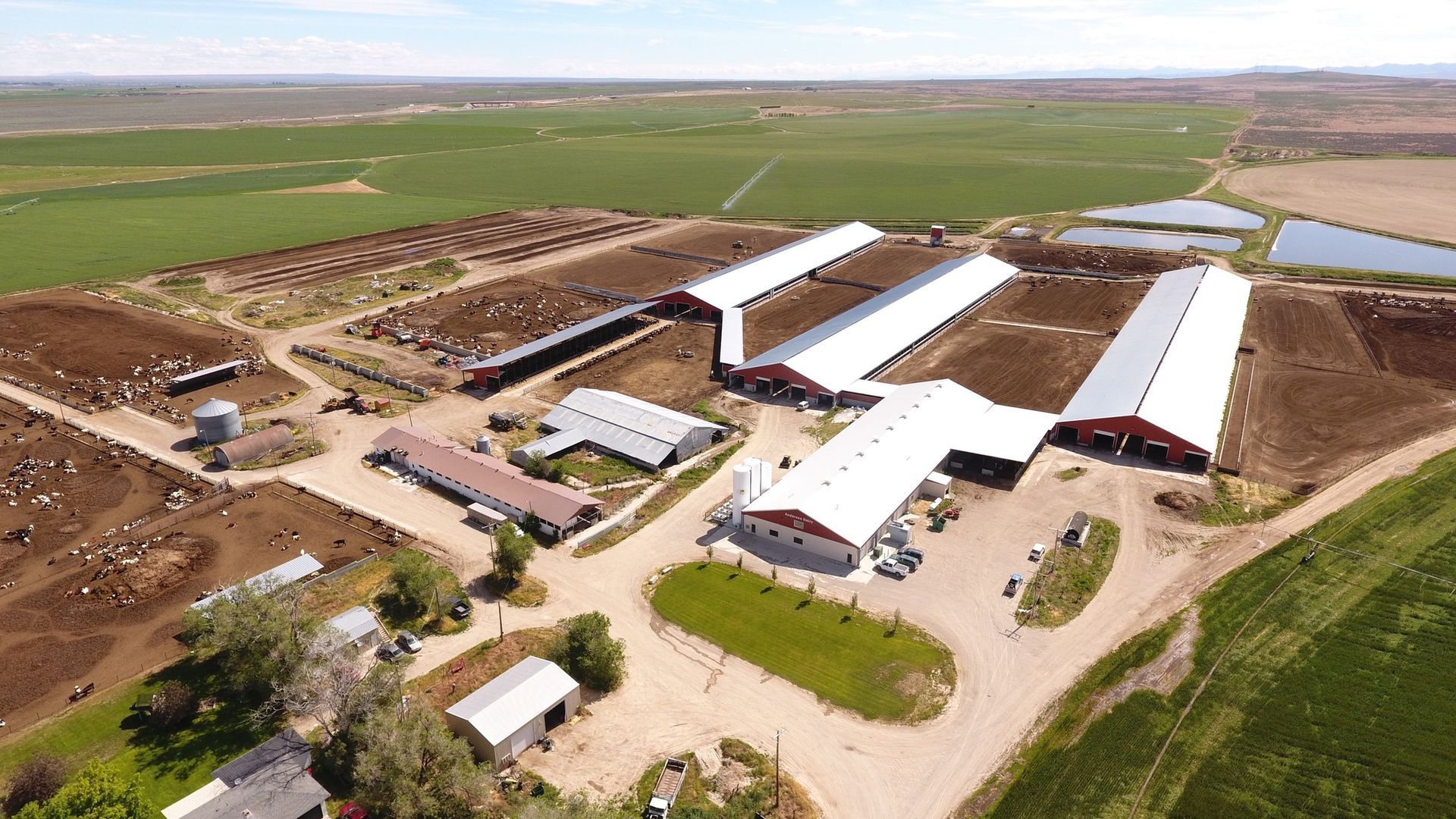 Aerial view of a large farm complex with white-roofed barns beside green fields and dirt roads.