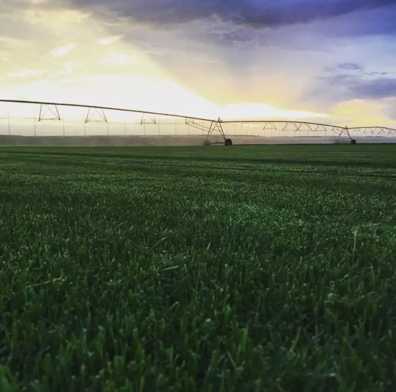 A large center-pivot irrigation system spans a lush green field under a cloudy sunset sky.