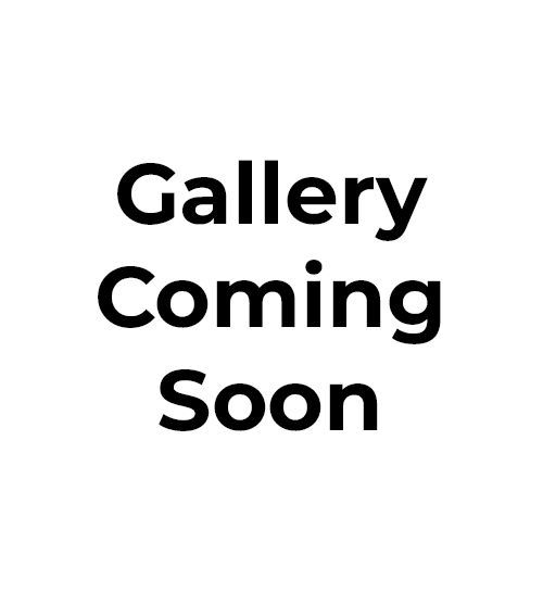 Text on white background reads “Gallery Coming Soon”