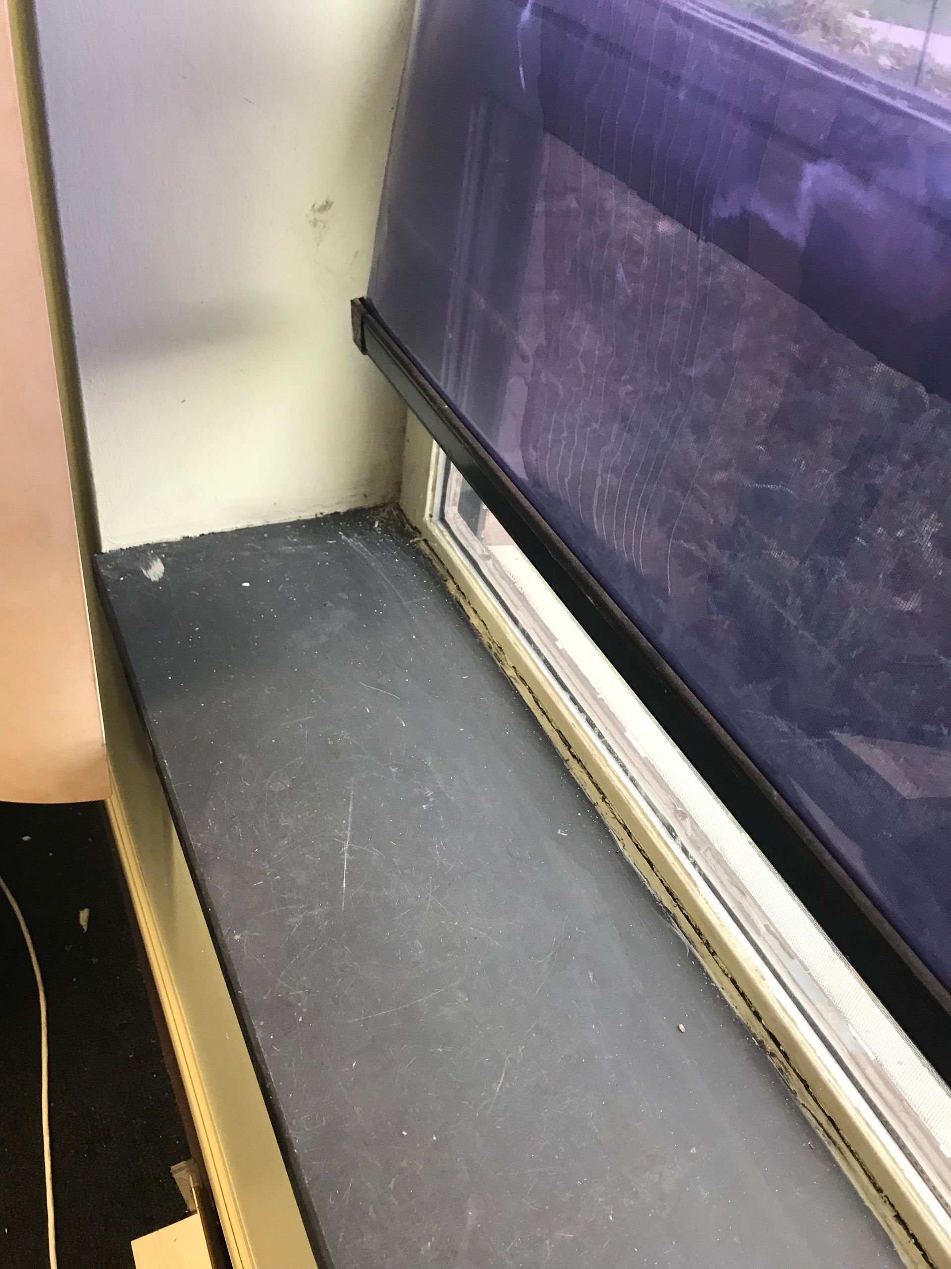 Park Forest Police Dept glass work