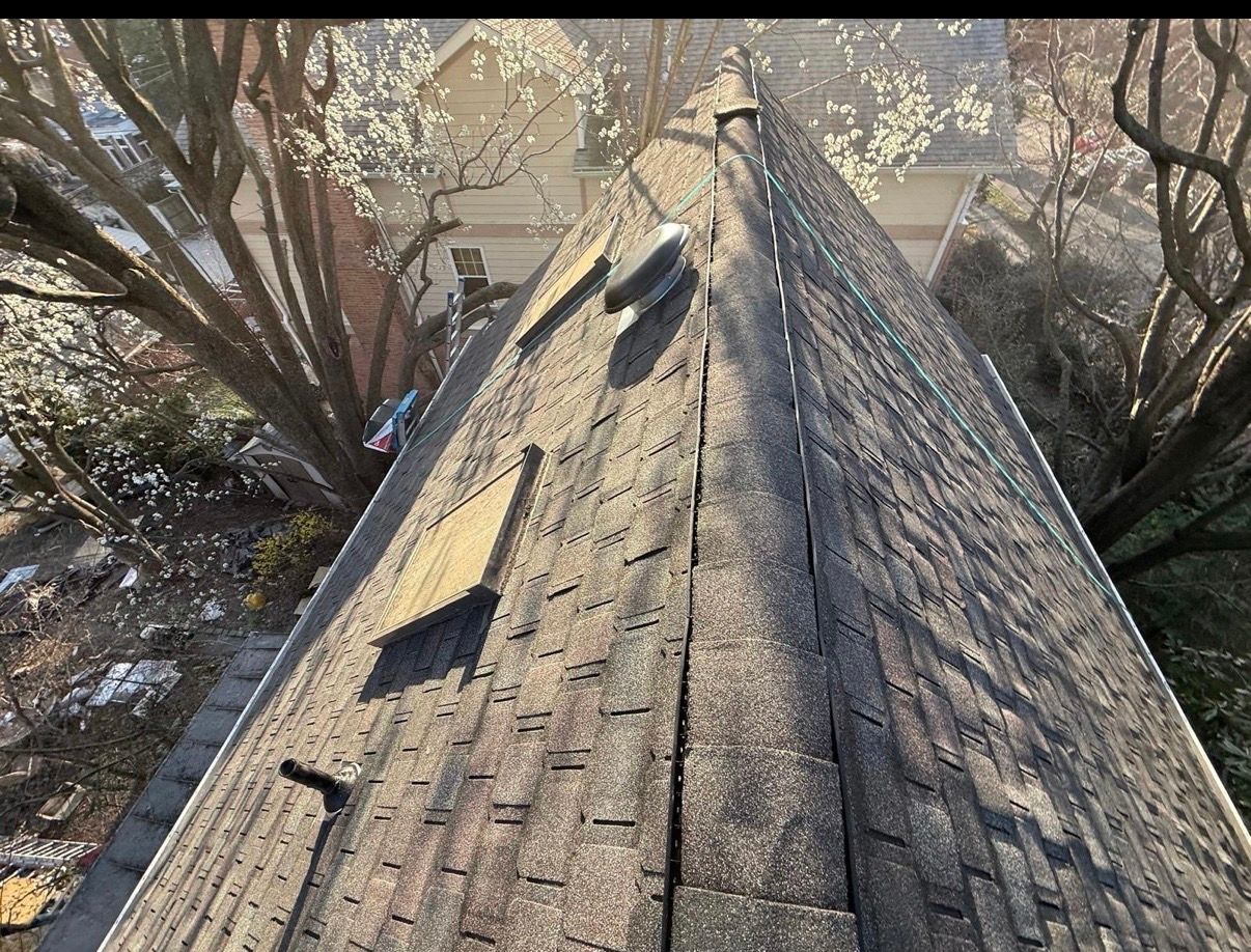 Weathered shingle roof viewed from the ridge, with trees and sunlight in the background