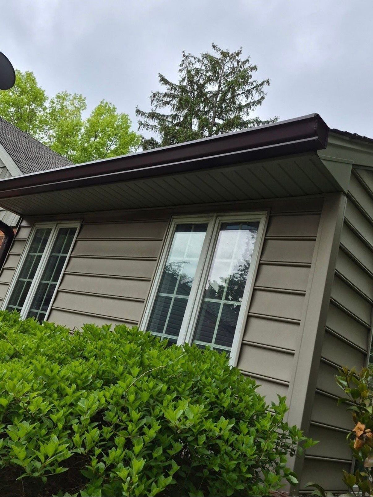 Side of a house with beige siding, white-trimmed windows, and a dark roof above green shrubs.