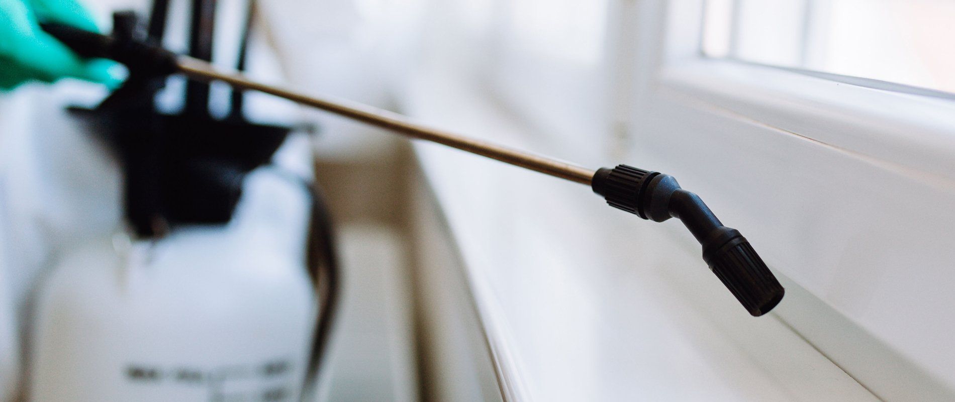 Pest Control Program Pricing Visalia, CA