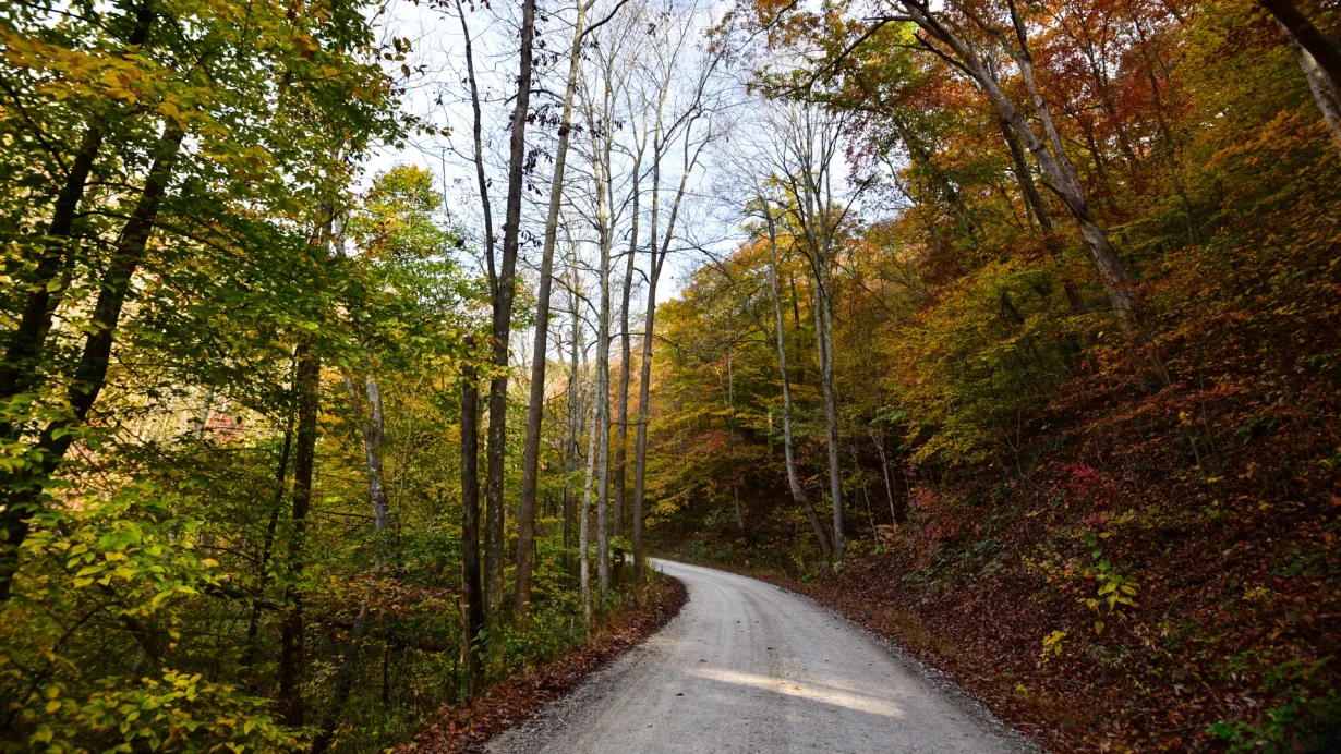Winding gravel road through a forest of autumn trees with yellow, orange, and red foliage