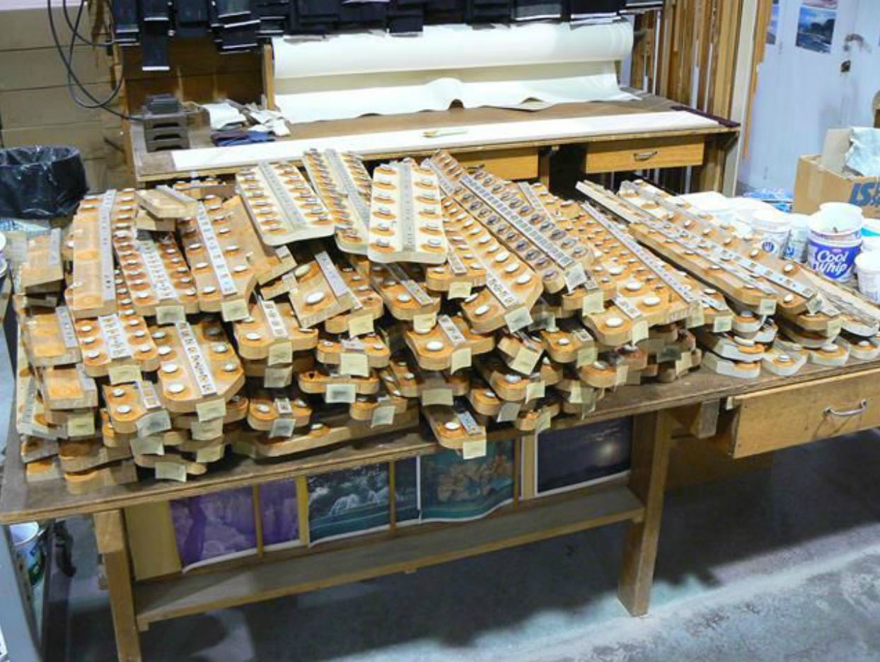 Christ The King Catholic