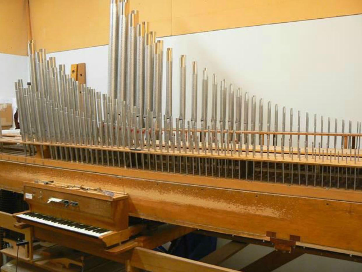 Christ The King Catholic