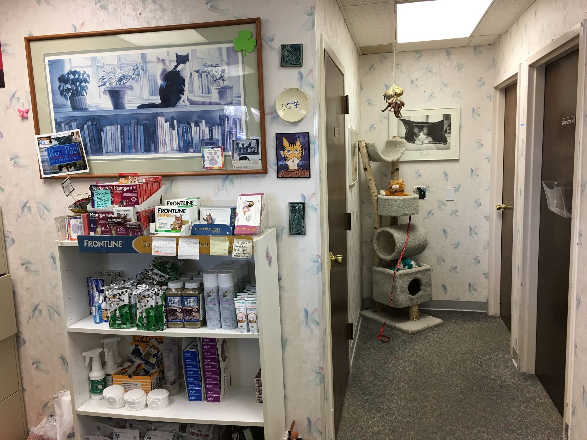 The Kitty Clinic Gallery Clinton Twp, MI