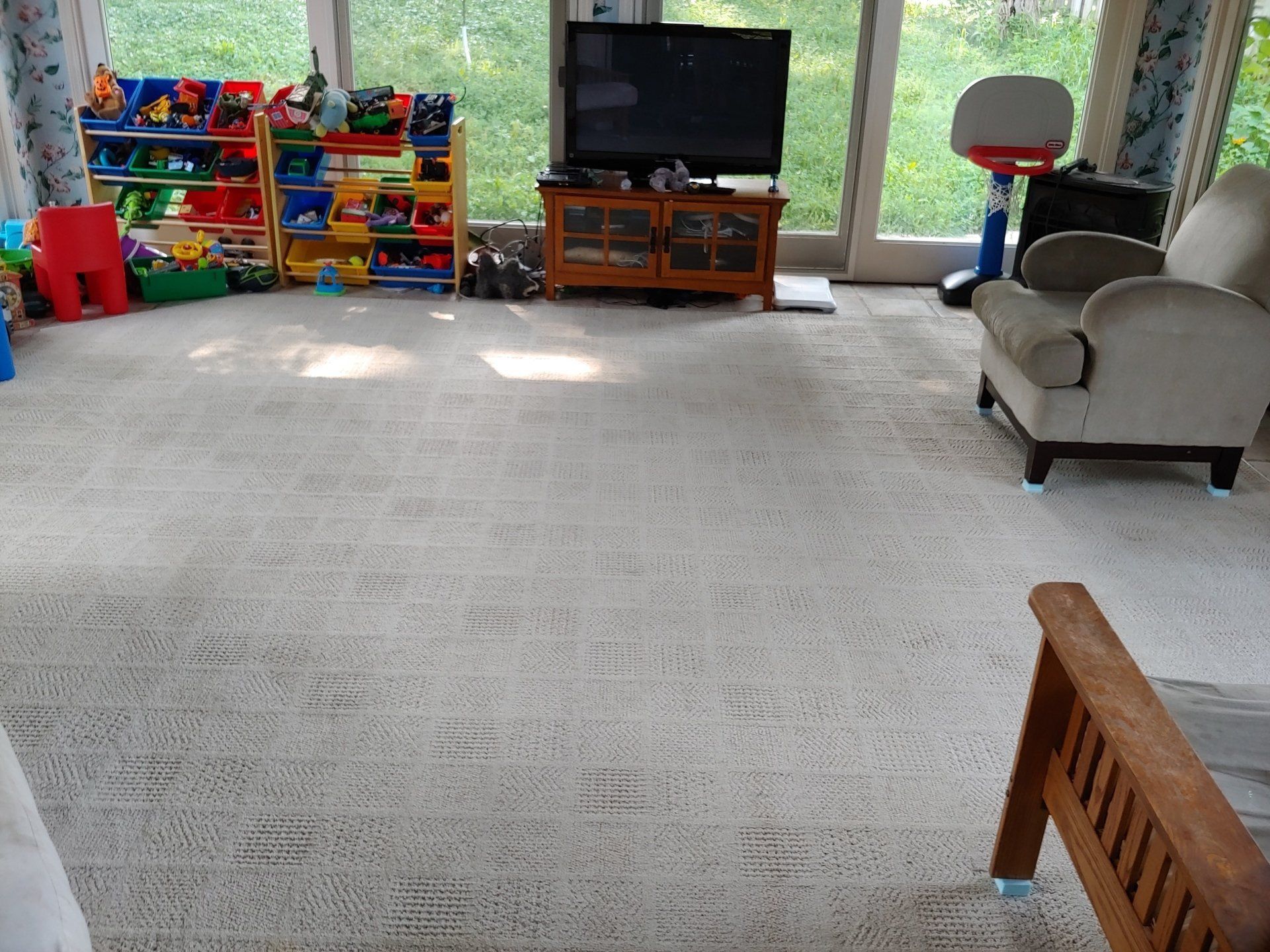 after carpet cleaning