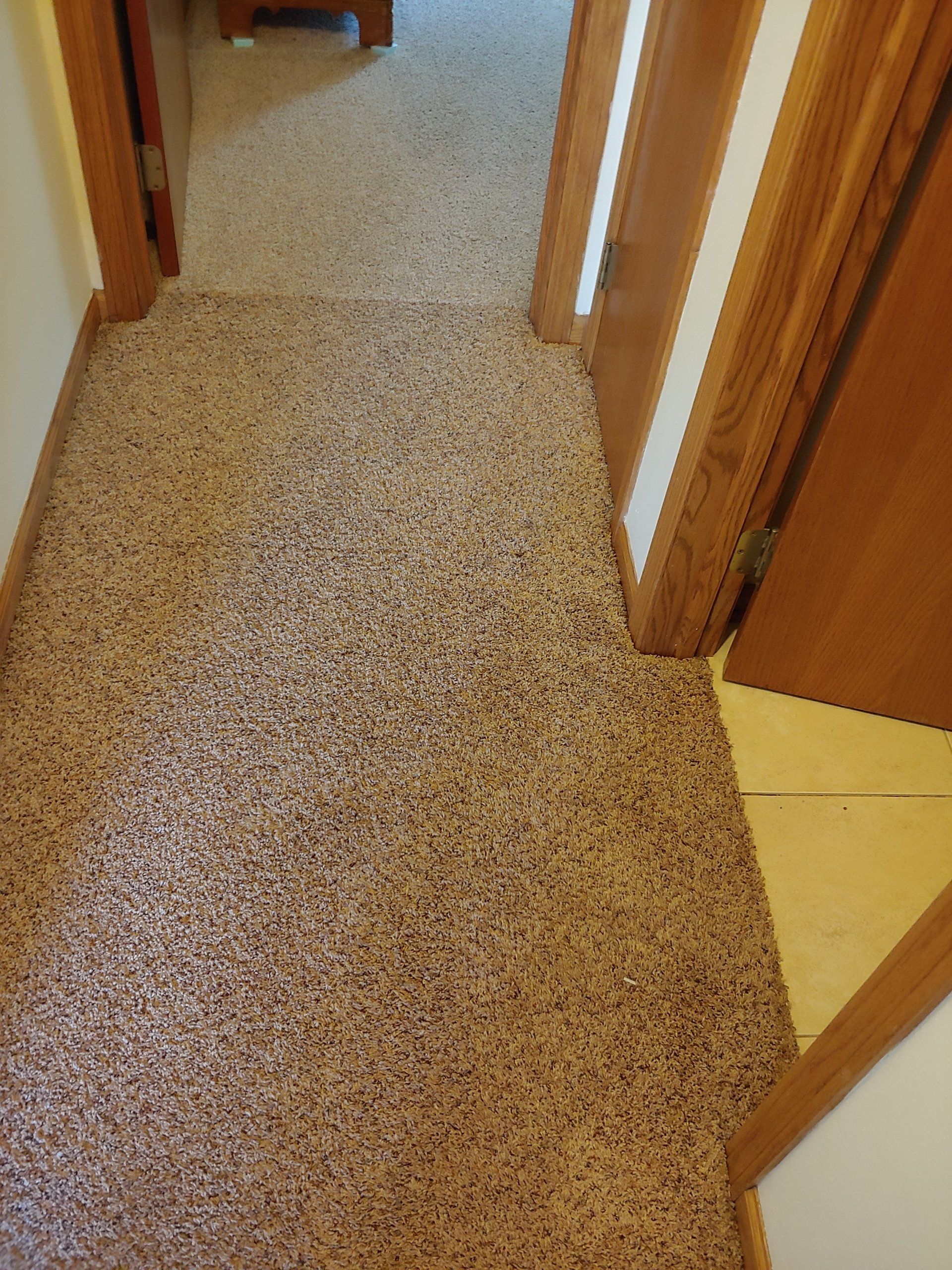 after carpet cleaning