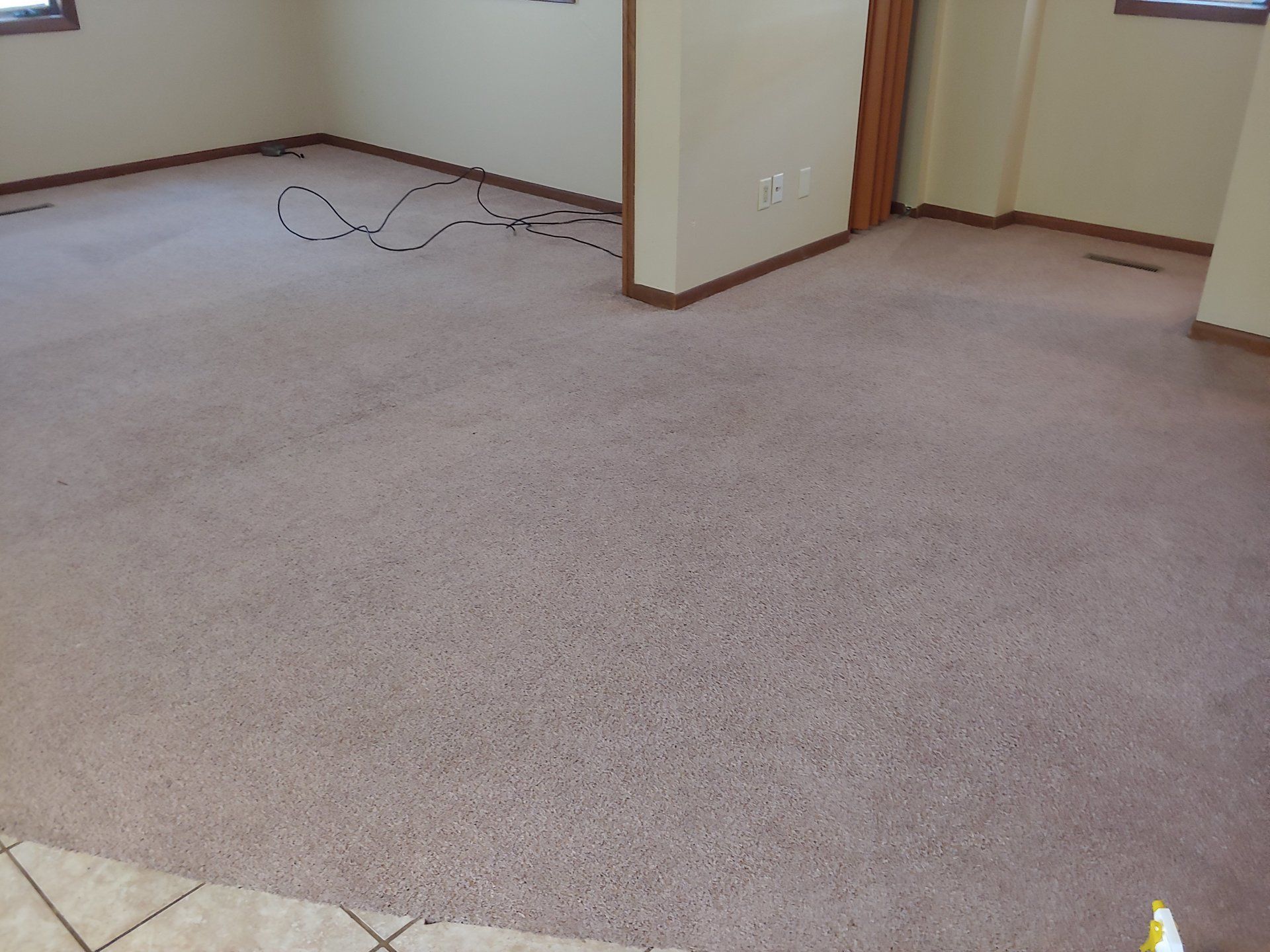 after carpet cleaning