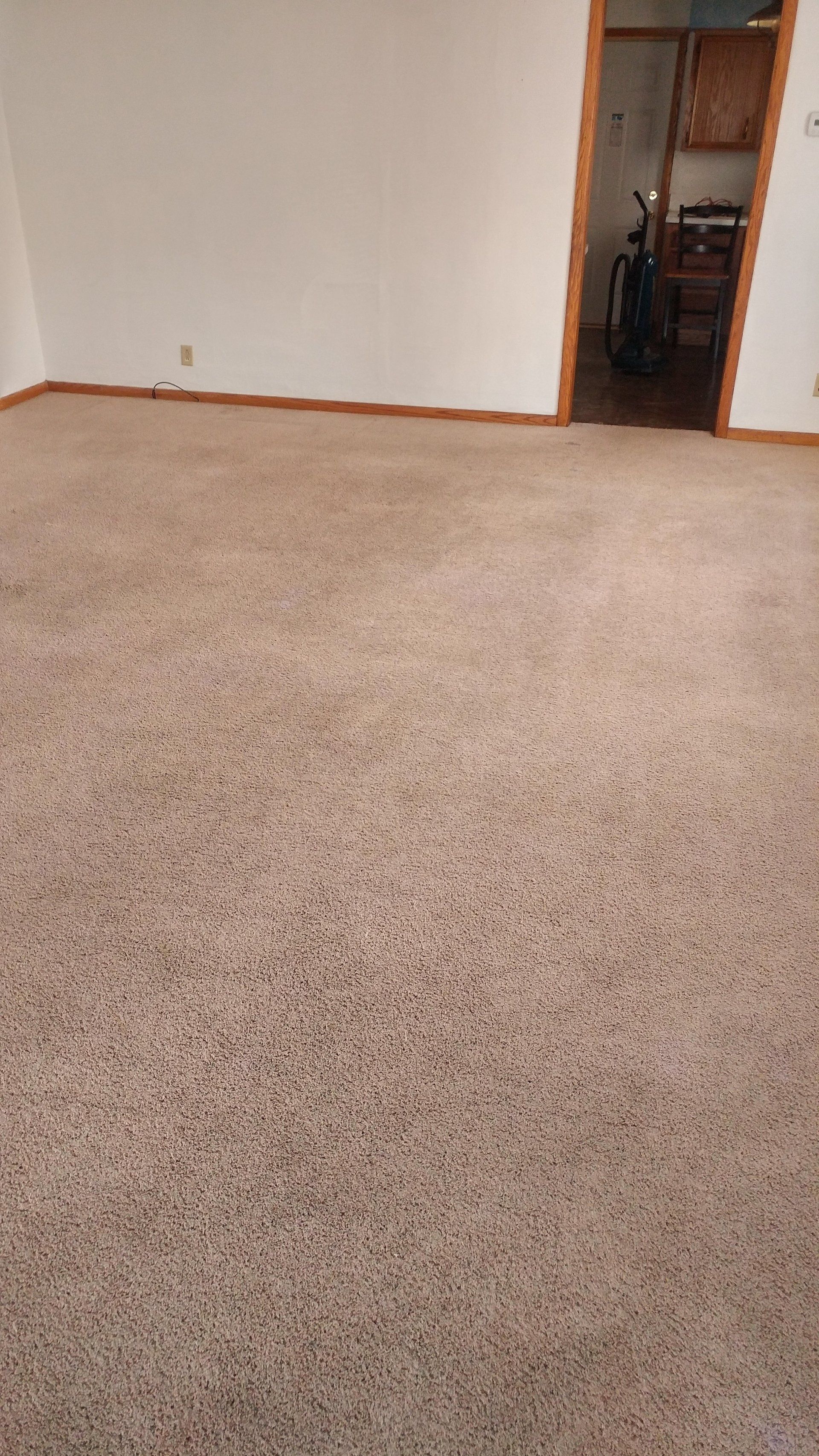 after carpet cleaning