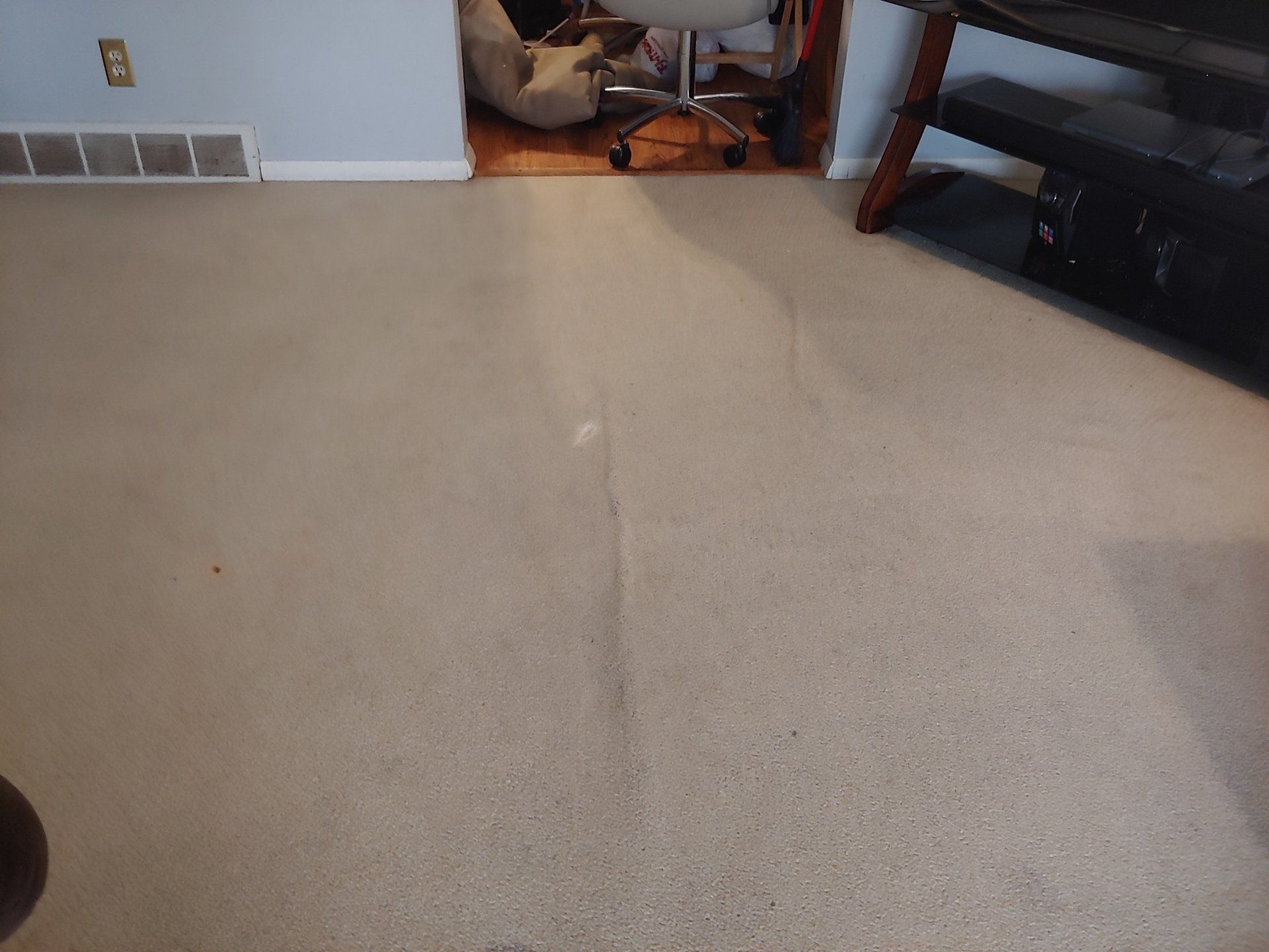 after carpet cleaning