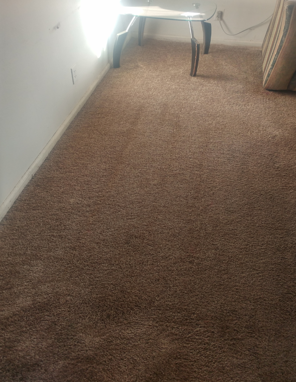 after carpet cleaning