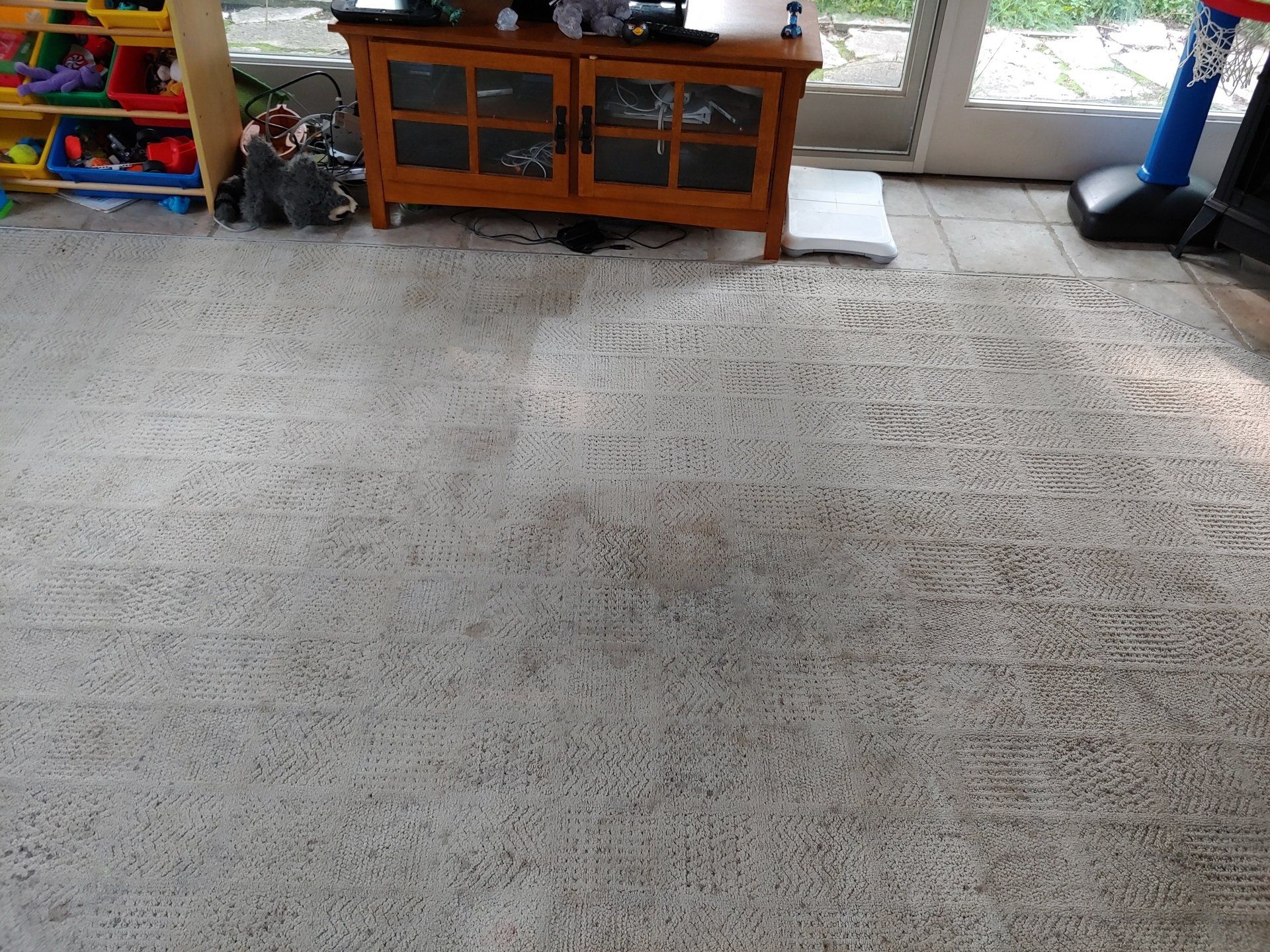 before carpet cleaning