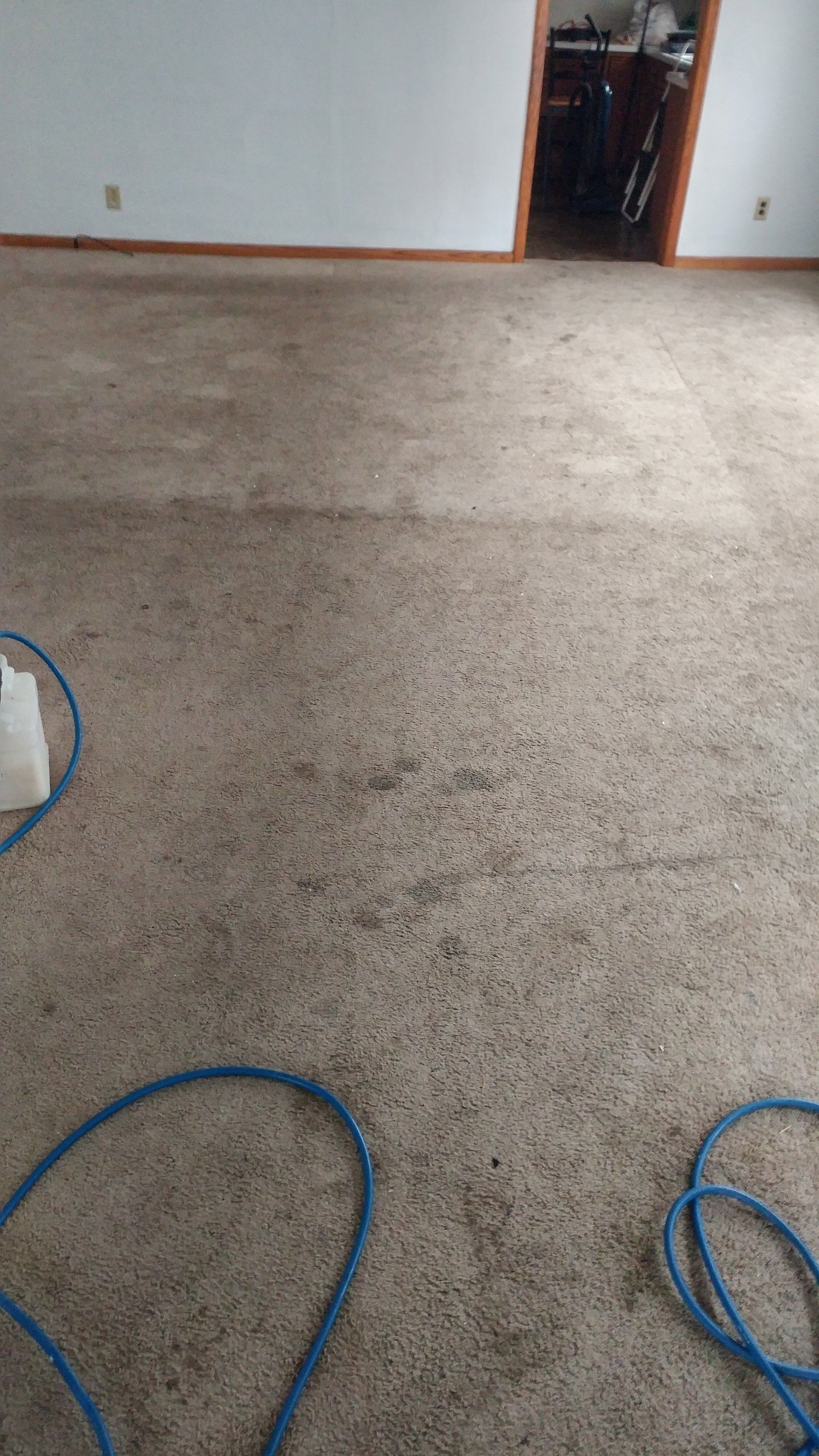 before carpet cleaning