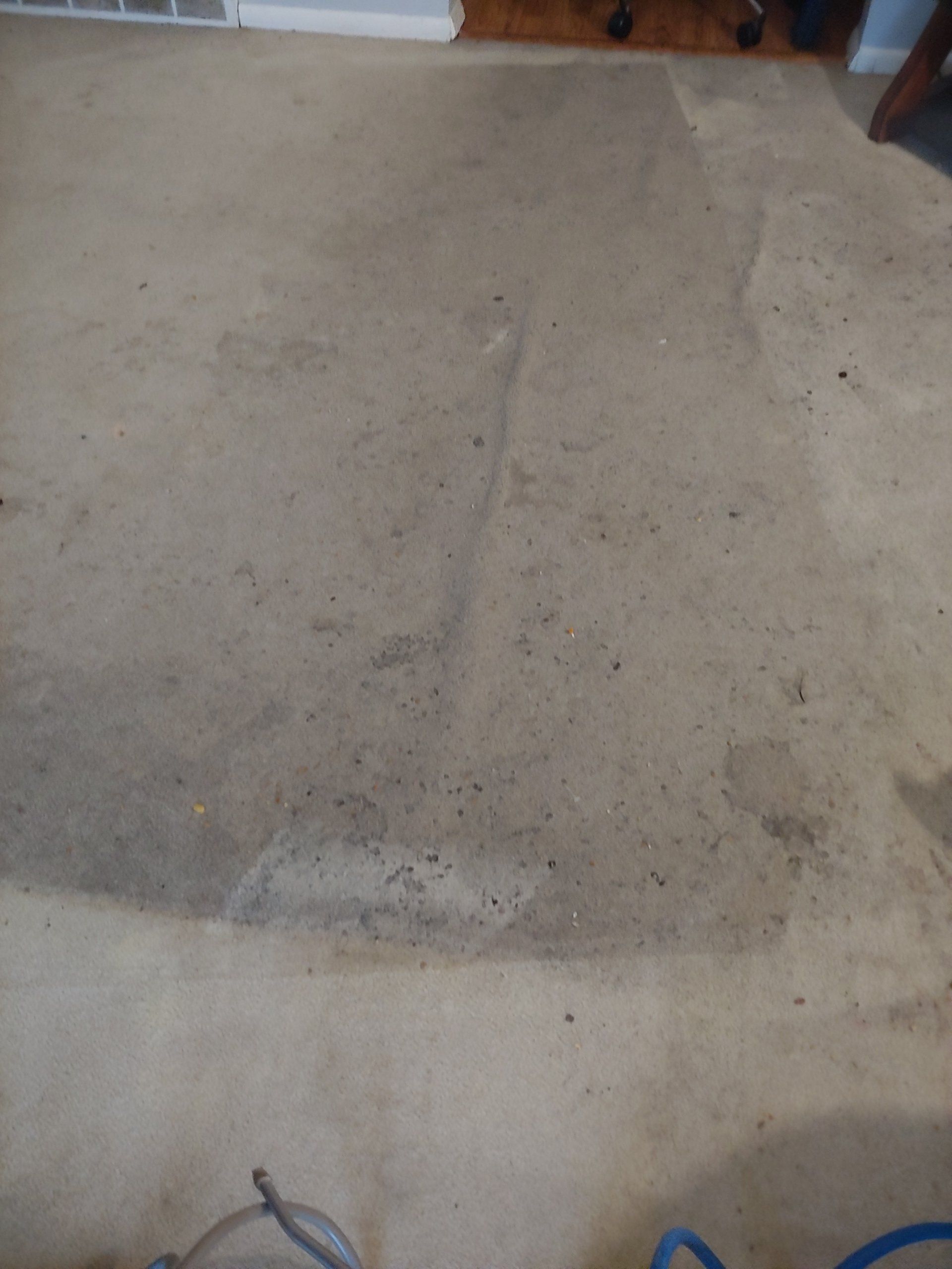 before carpet cleaning