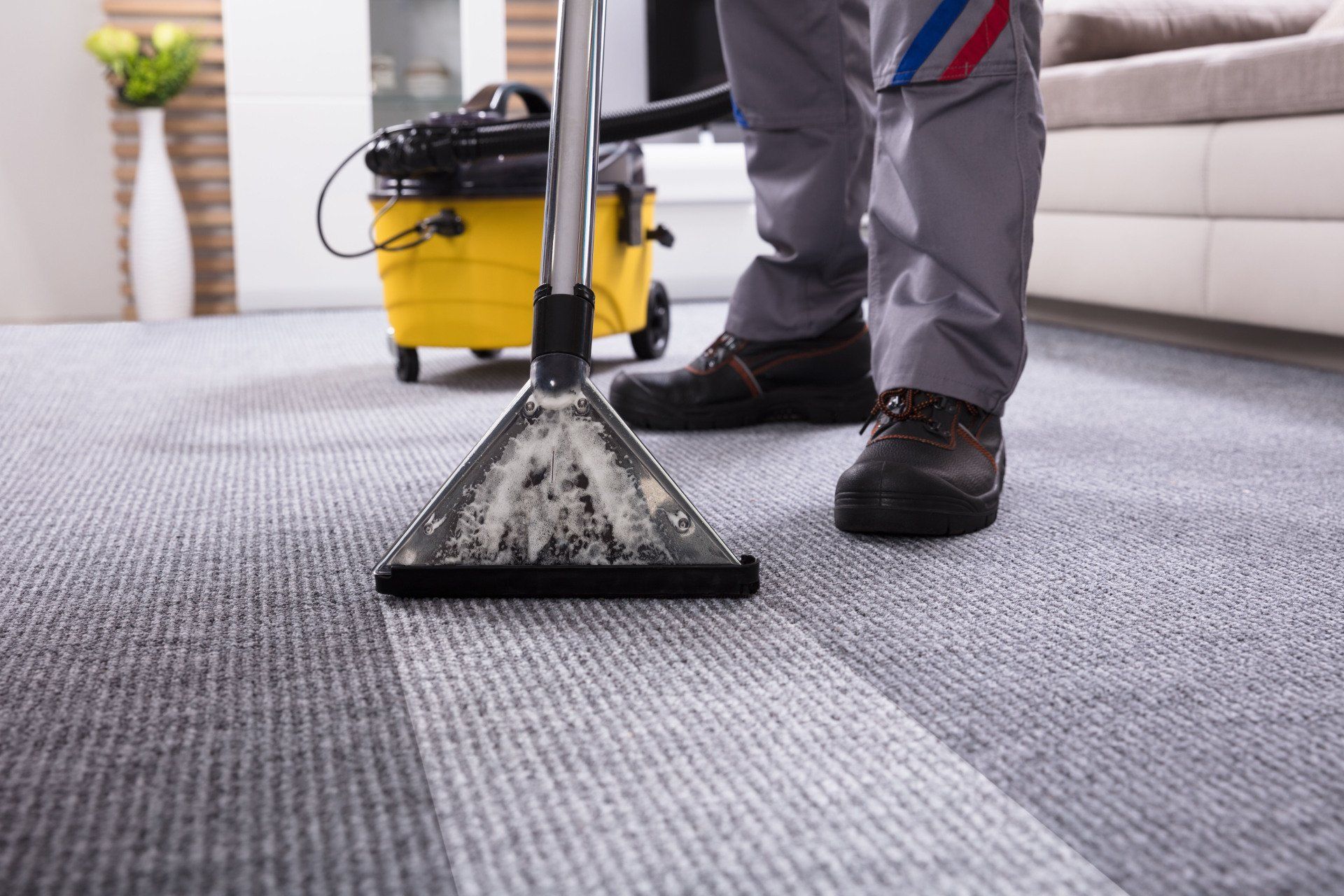 carpet cleaning service