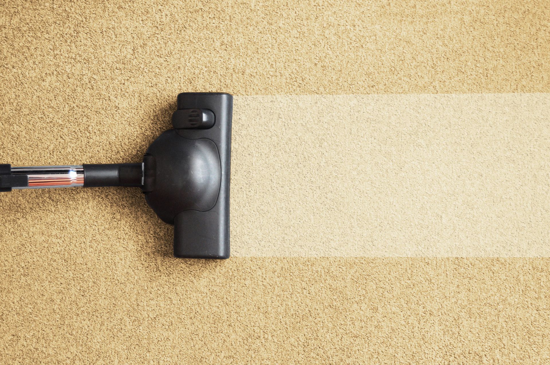 carpet cleaning service