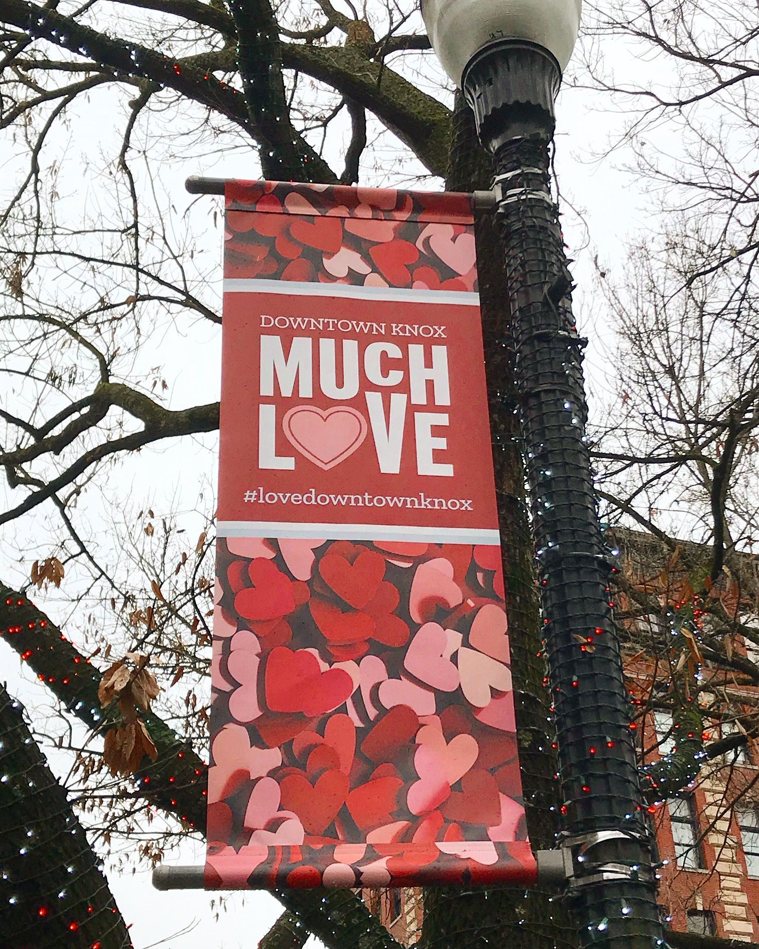 Banner on a lamppost reads