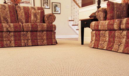 Clean Carpet and Upholstery