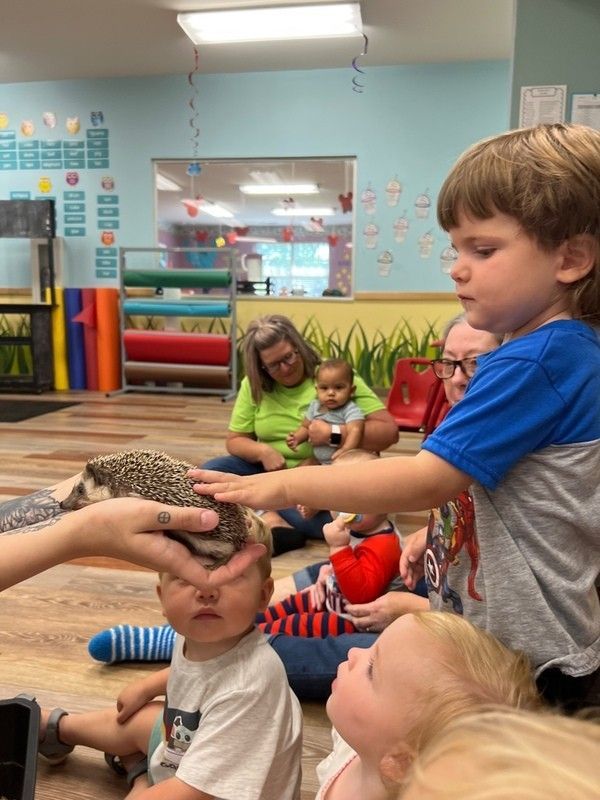 A positive review by Rob